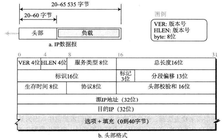 IP数据报