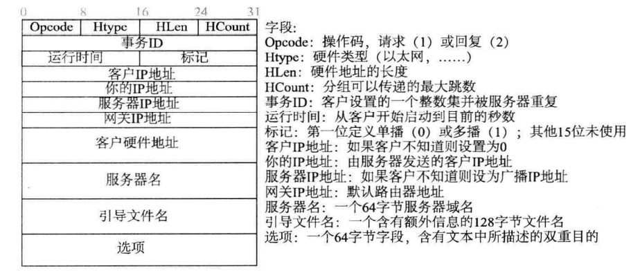 DHCP报文格式